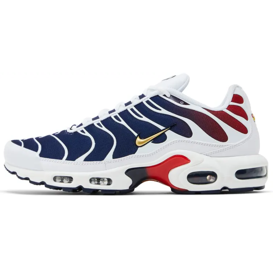 Nike Air Max Plus PSG Bulk