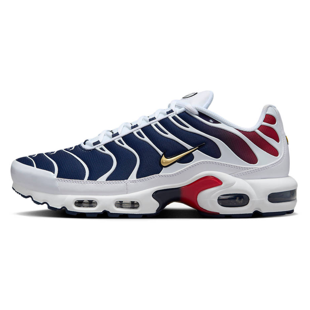 Nike Airmax Plus PSG Sale